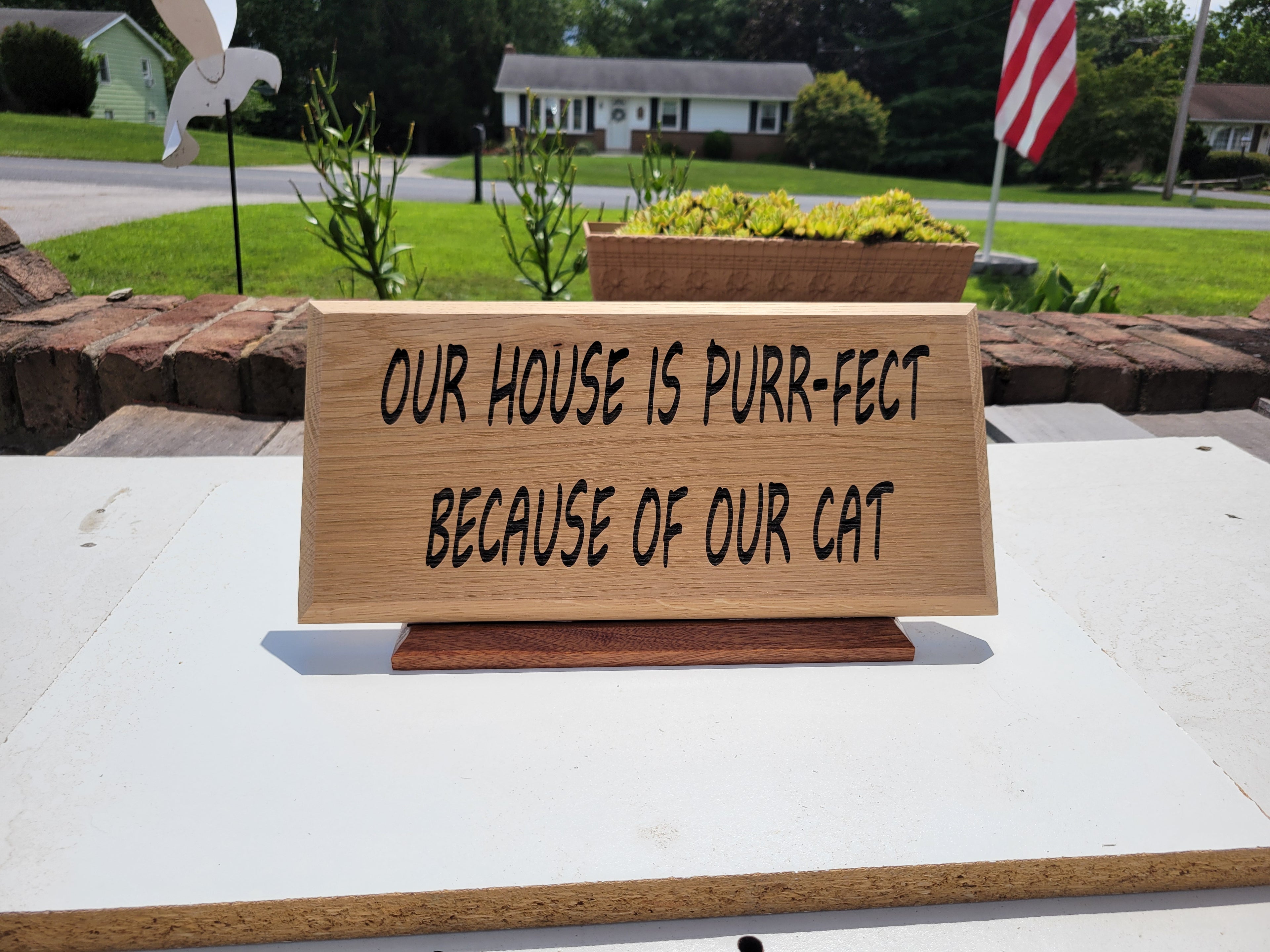Our House Is Purr-fect Because Of Our Cat