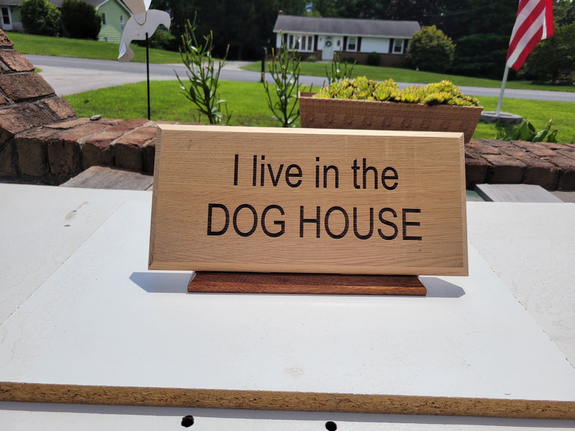 I live in the DOG HOUSE