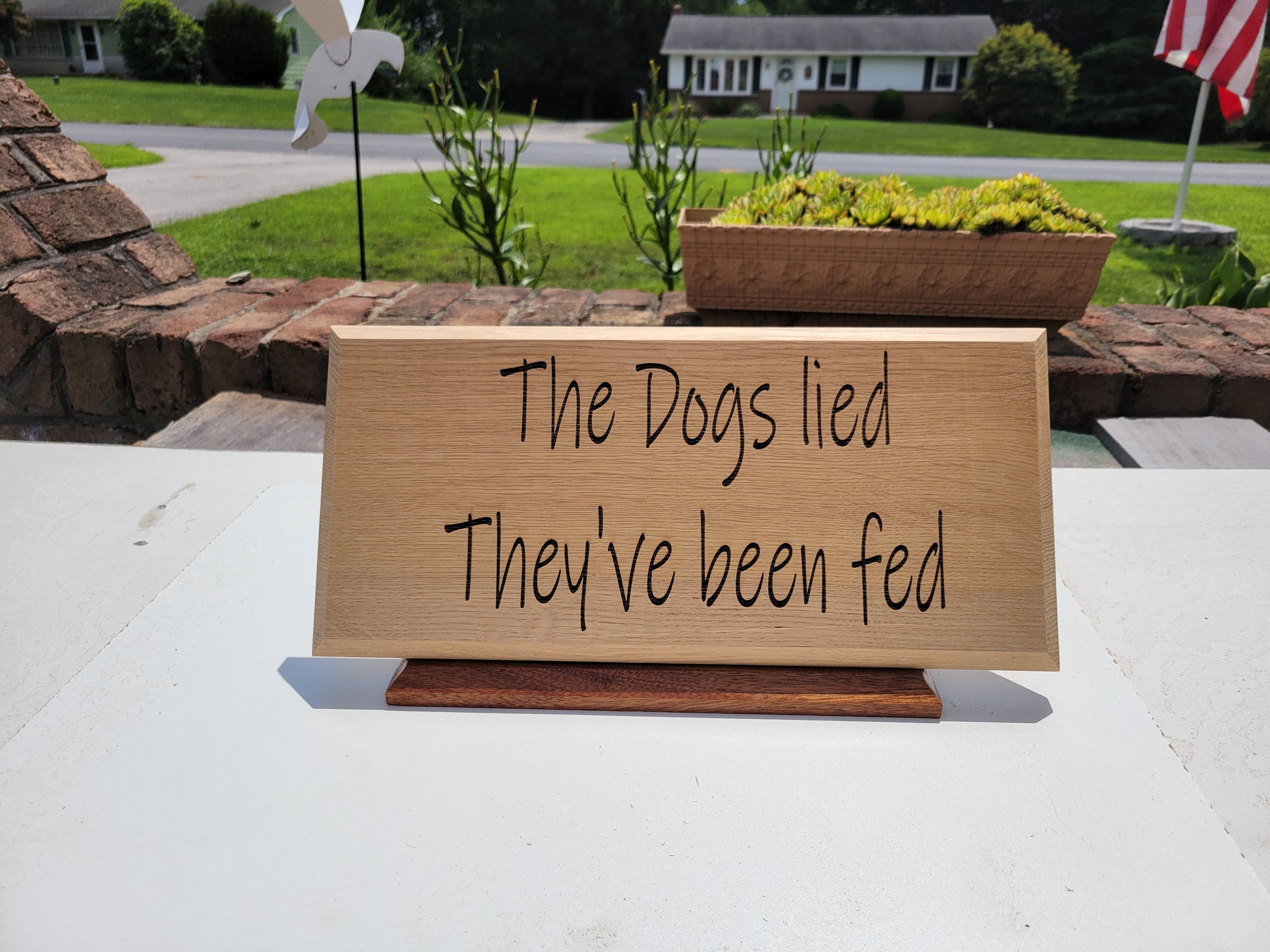 The dogs lied They've been fed