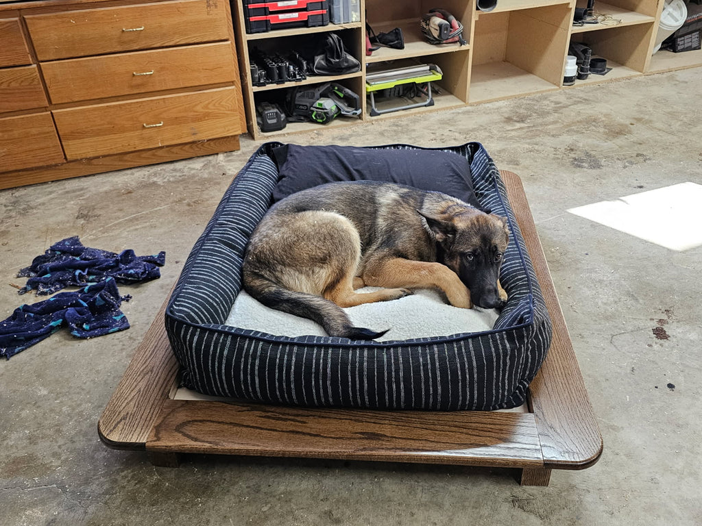 Dog Beds