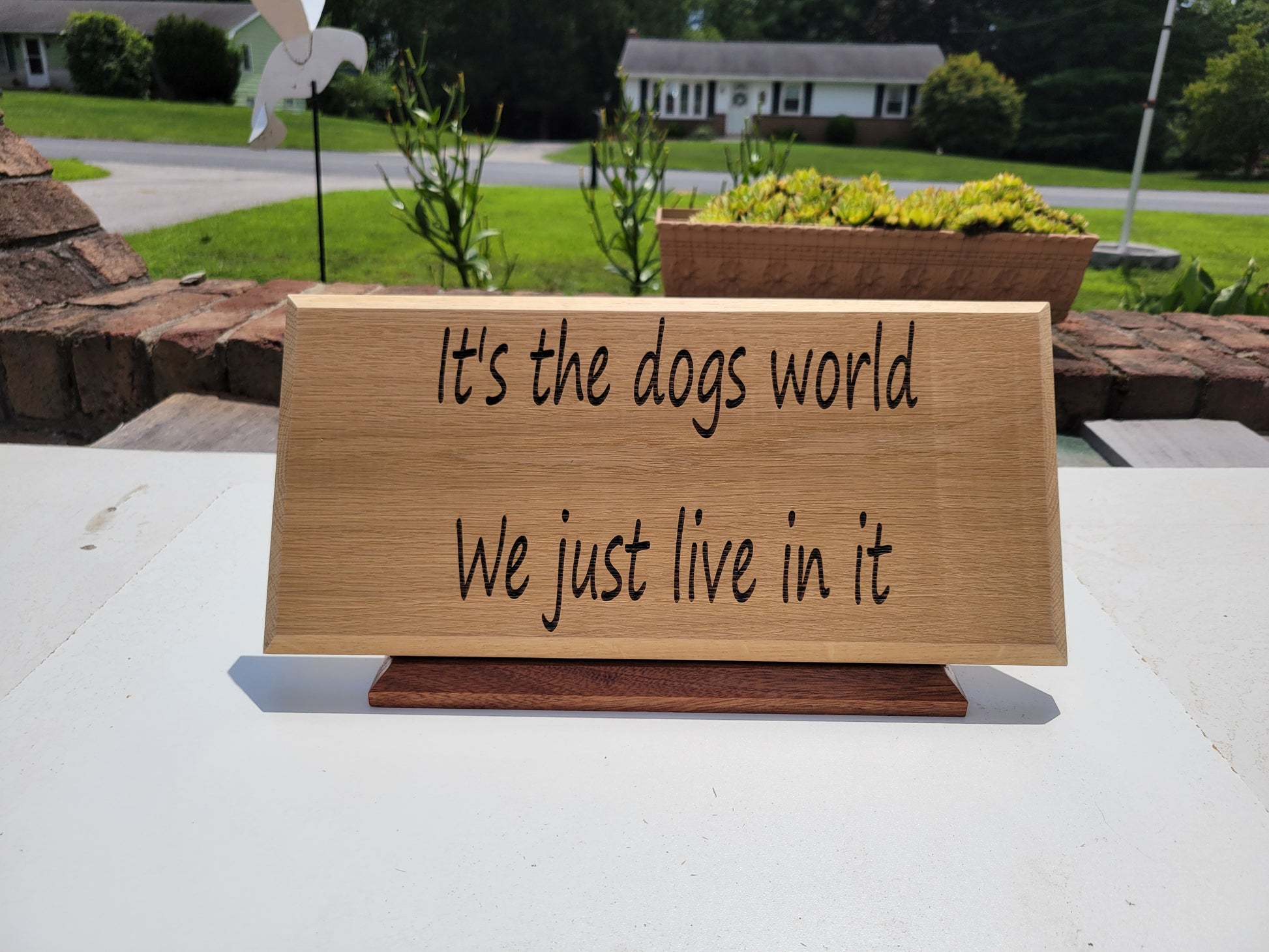 It's the dogs world we just live in it