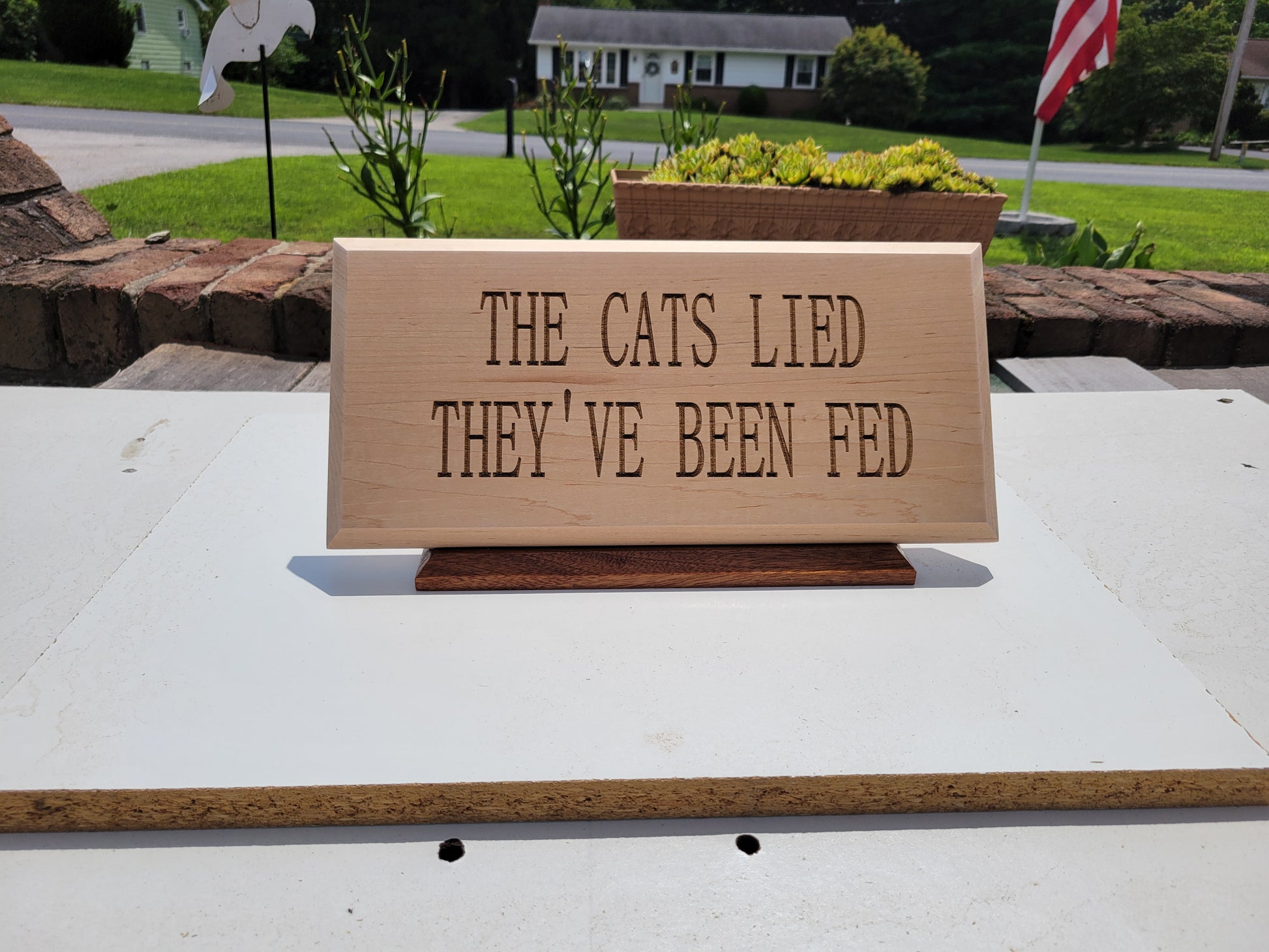 The Cats Lied They've Been Fed