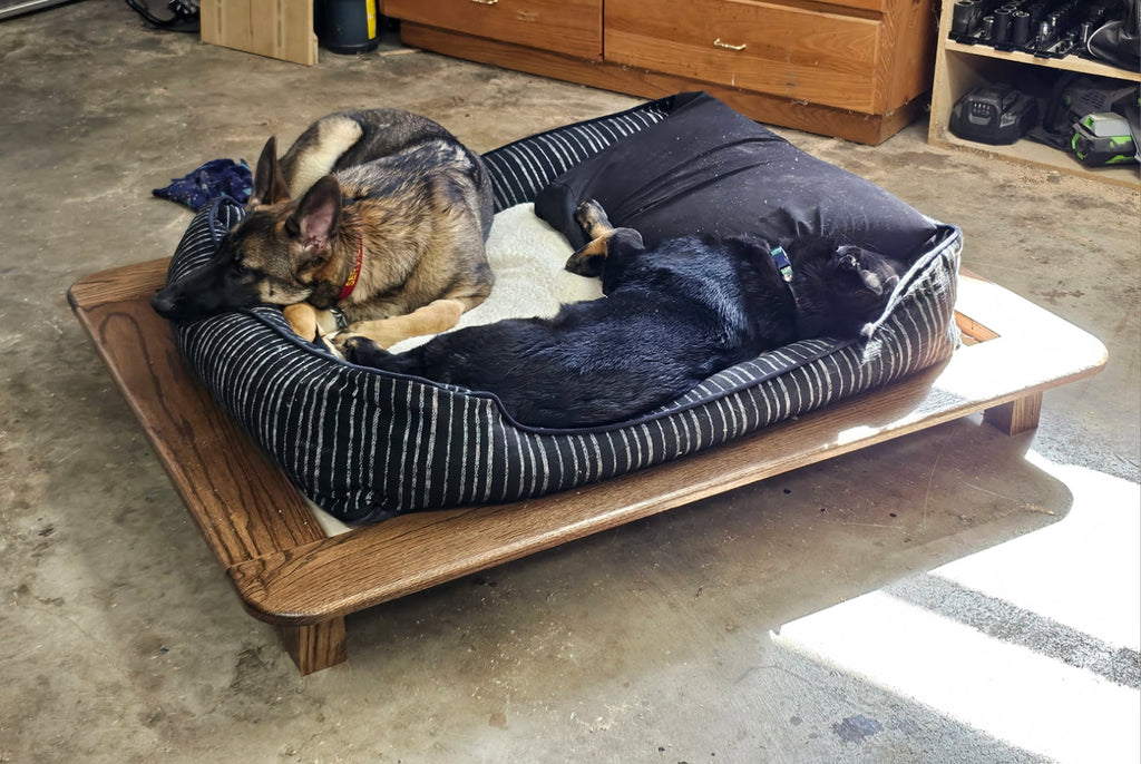 Dog Beds