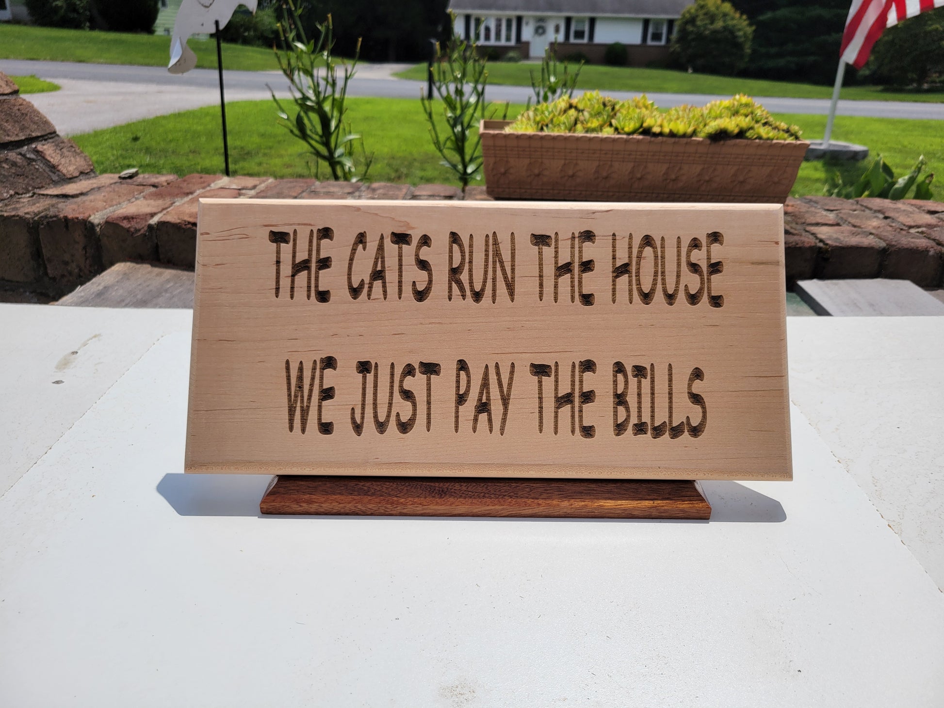 The Cats Run The House We Just Pay The Bills